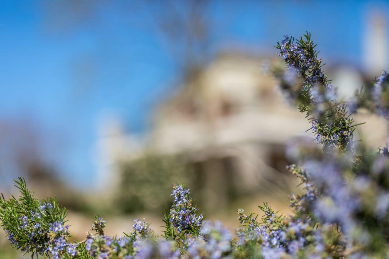 Villa Korina Pinezići エクステリア 写真